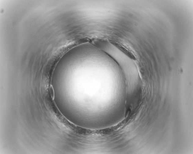 X0000088890593200706221842