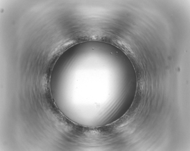 X0000088890594200706221842