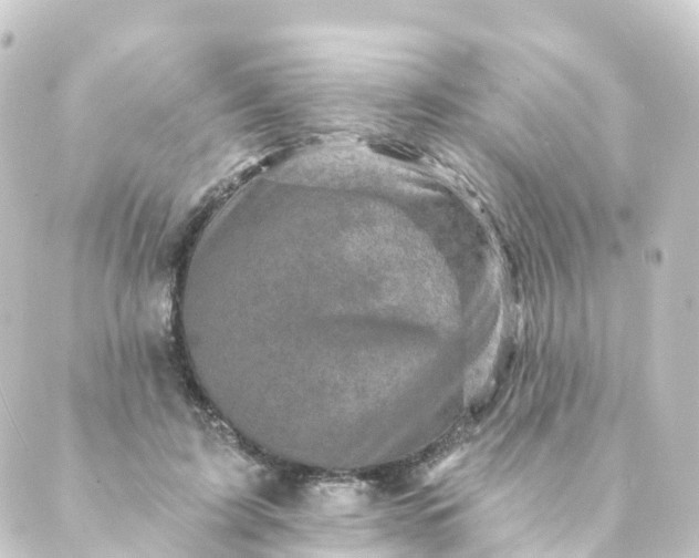 X0000088890595200706221842