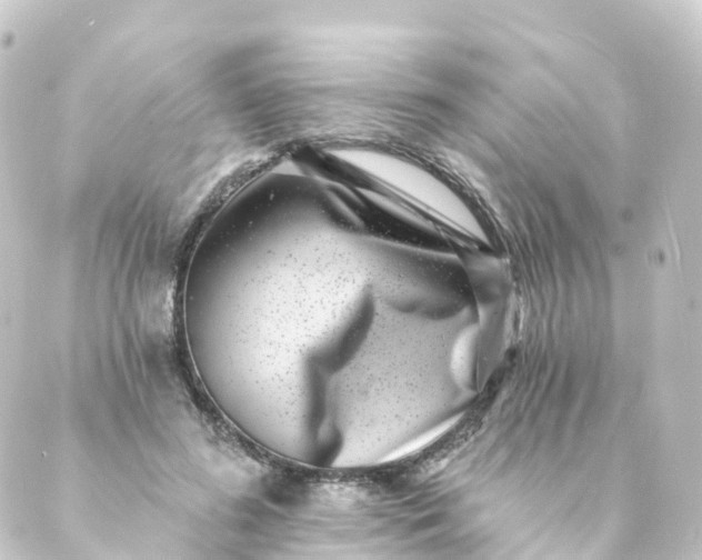 X0000088890596200706221842