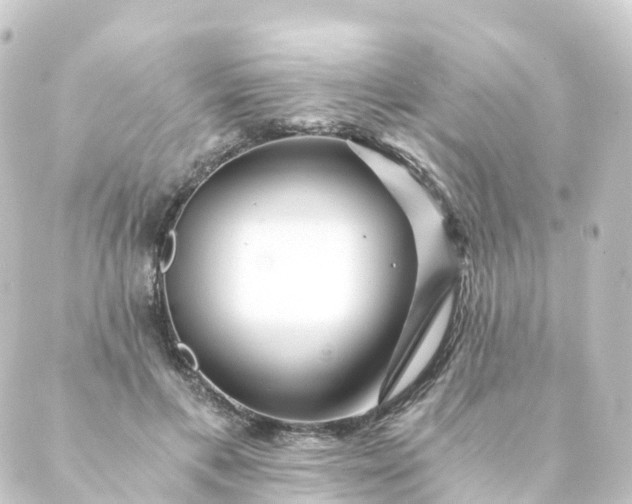 X0000088890597200706221842