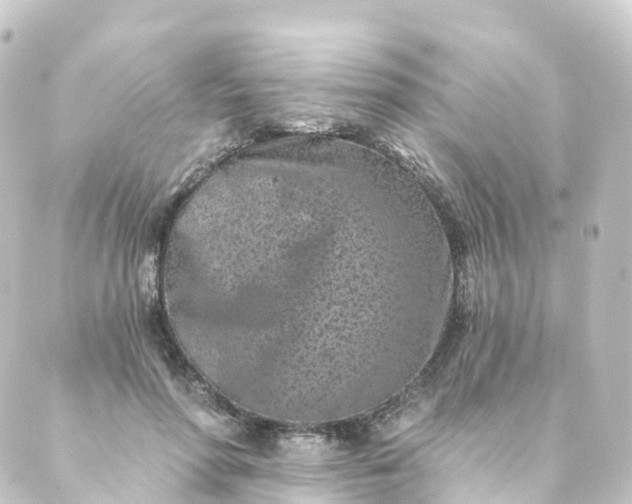 X0000088890598200706221842