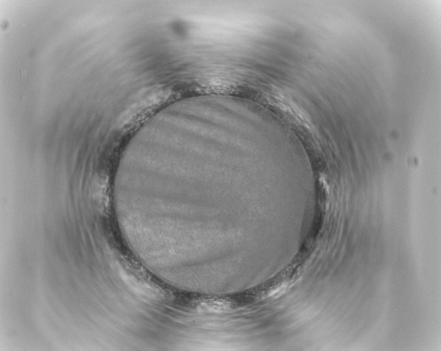 X0000088890599200706221842