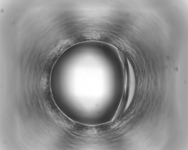 X0000088890600200706221842