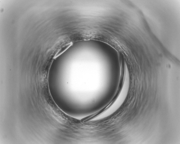 X0000088890601200706221842