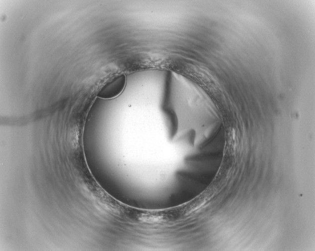 X0000088890602200706221842