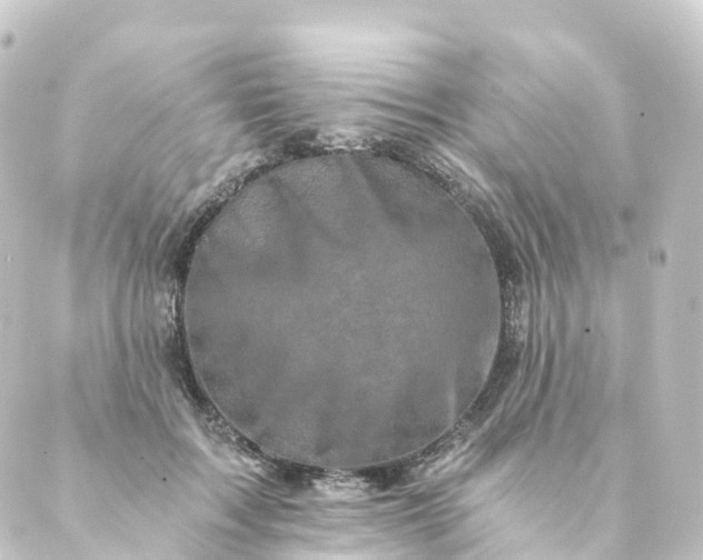 X0000088890603200706221842