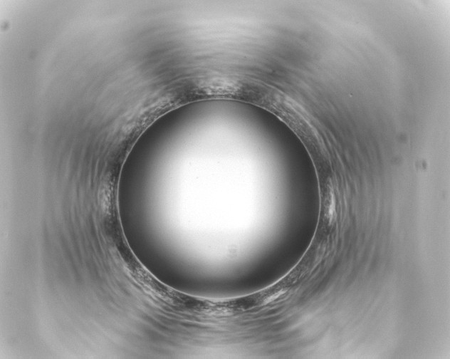 X0000088890604200706221842