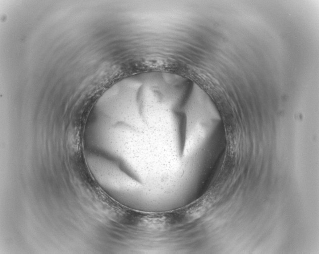 X0000088890606200706221841