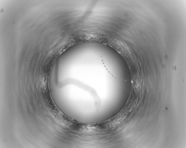 X0000088890607200706221841