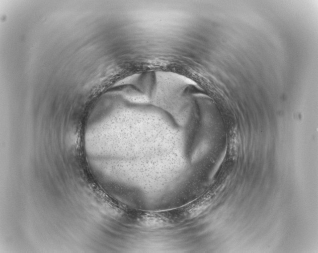 X0000088890608200706221841