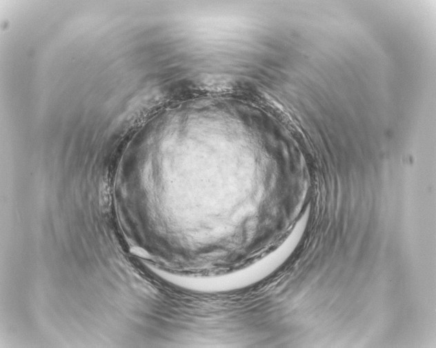 X0000088890609200706221841