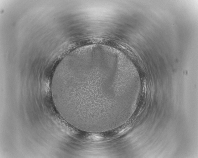 X0000088890610200706221841