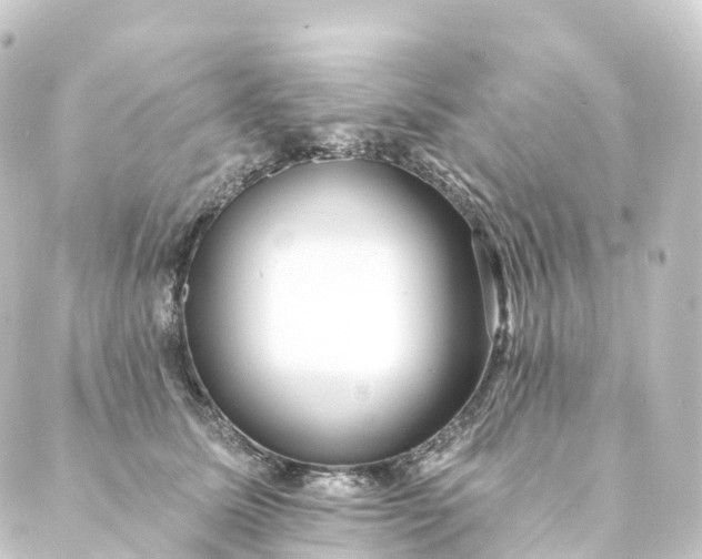 X0000088890611200706221841