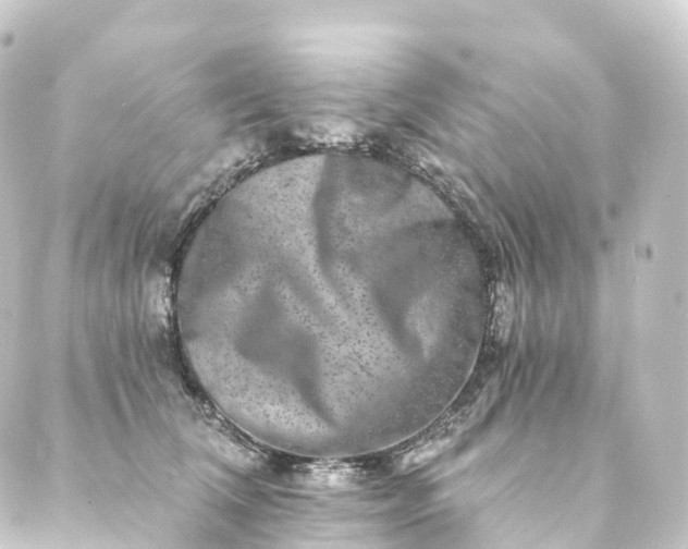 X0000088890612200706221841