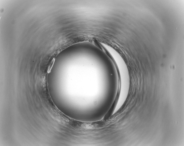 X0000088890613200706221841