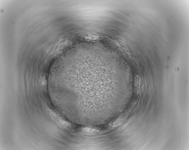 X0000088890614200706221841