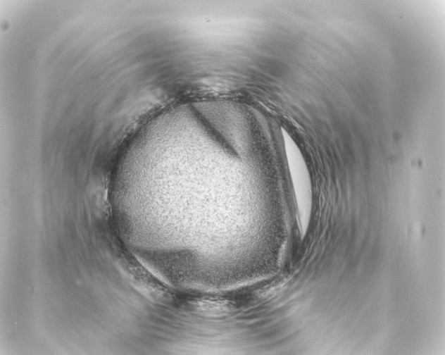 X0000088890615200706221841