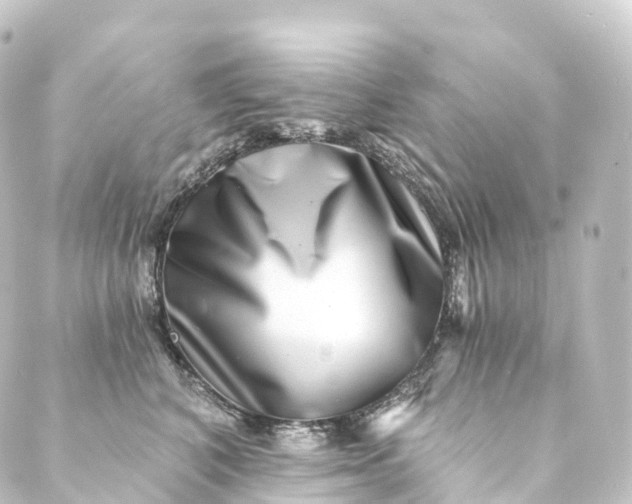 X0000088890616200706221841