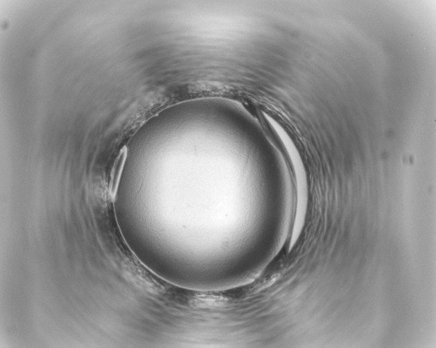 X0000088890617200706221841