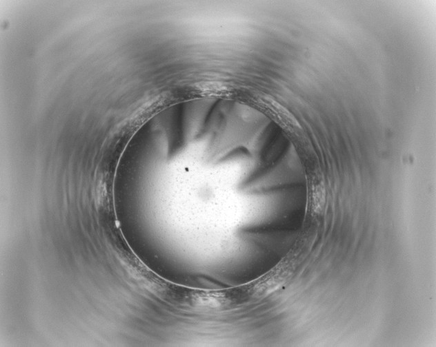 X0000088890618200706221841