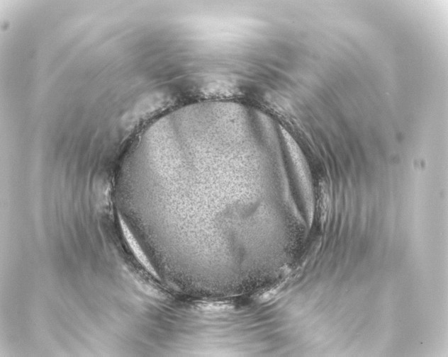 X0000088890619200706221841