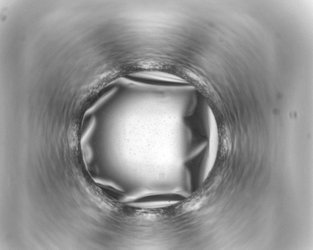 X0000088890620200706221841