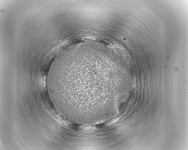 X0000088890621200706221841