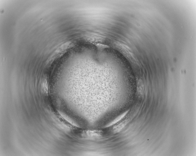 X0000088890622200706221841