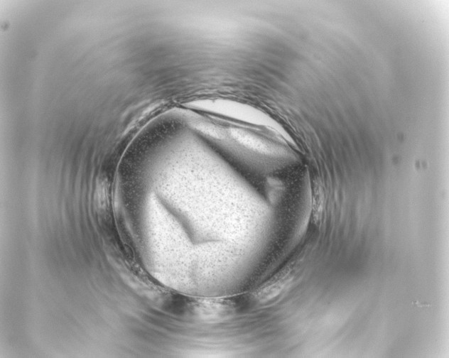 X0000088890623200706221841