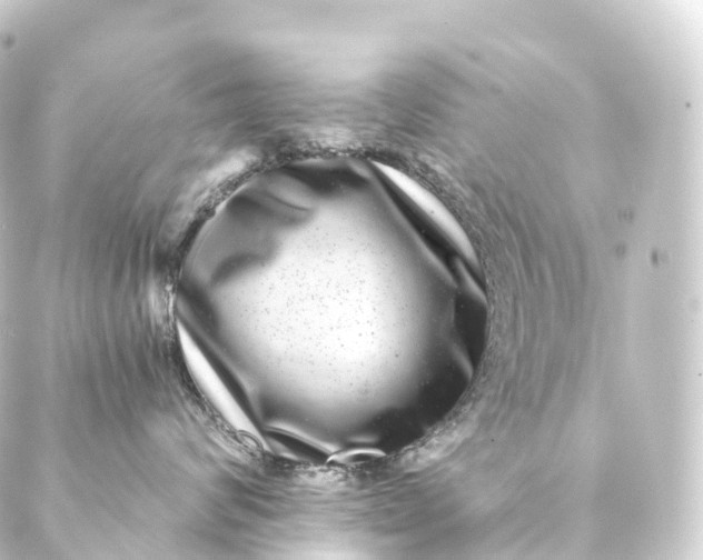 X0000088890624200706221841