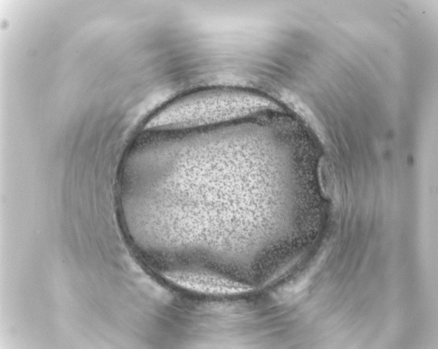 X0000088890625200706221840