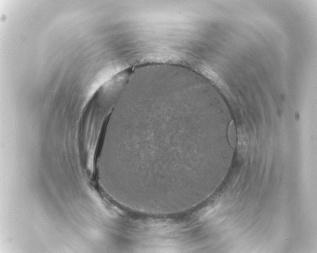 X0000088890626200706221840