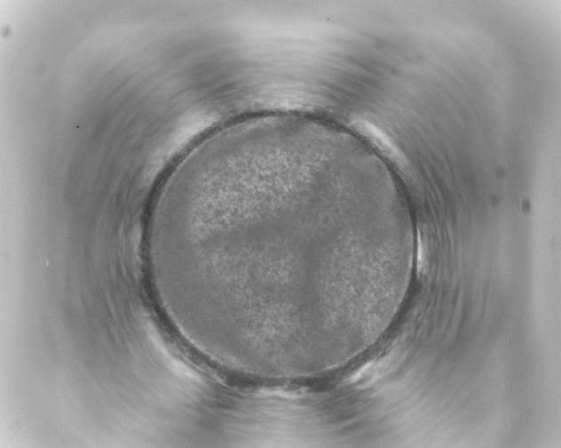 X0000088890627200706221840