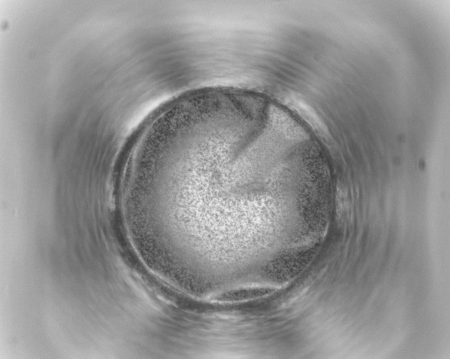 X0000088890628200706221840