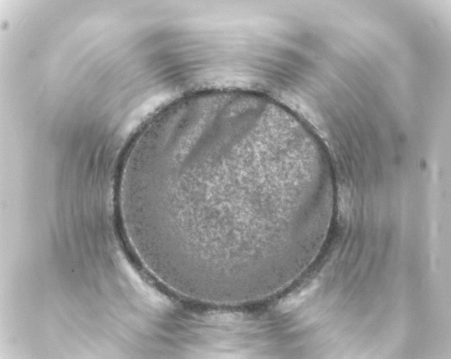 X0000088890629200706221840