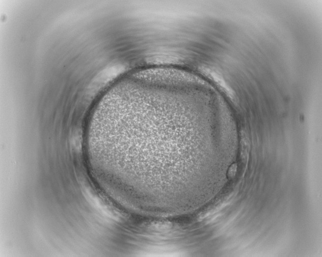 X0000088890631200706221841