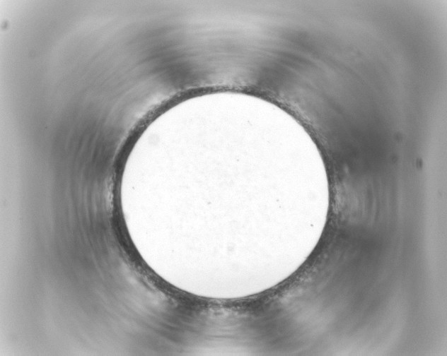 X0000088890632200706221841