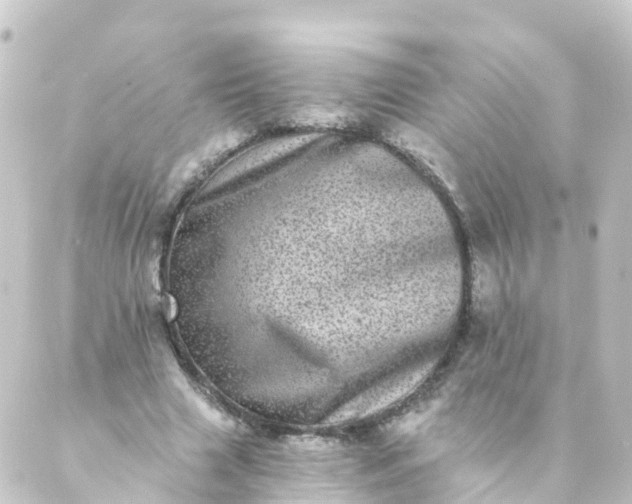 X0000088890633200706221841