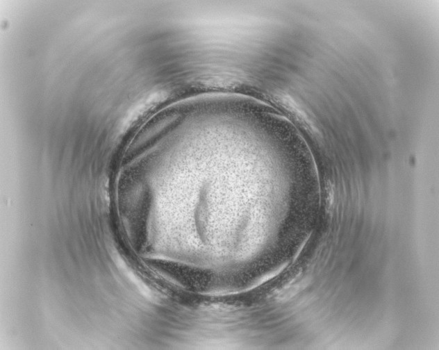 X0000088890634200706221841