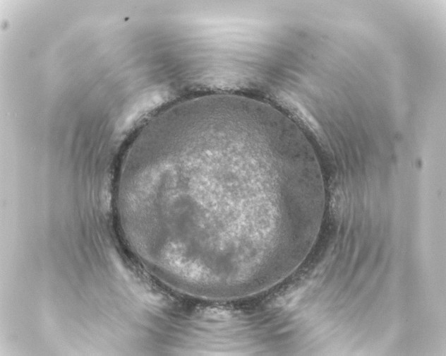 X0000088890635200706221841