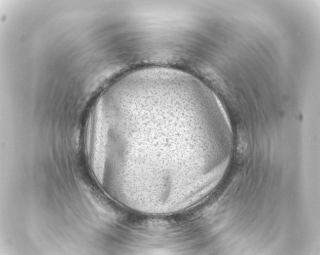 X0000088890636200706221841