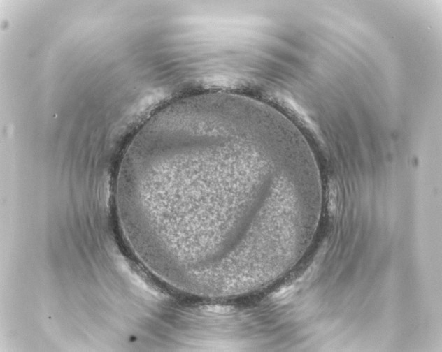 X0000088890637200706221841