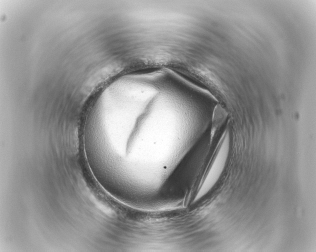 X0000088890638200706221841