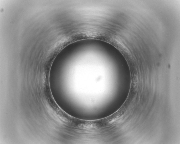 X0000088890639200706221841