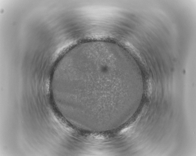 X0000088890640200706221841