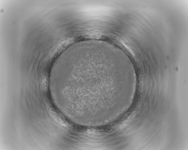 X0000088890641200706221841