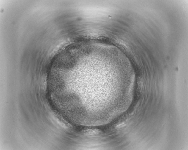 X0000088890642200706221841