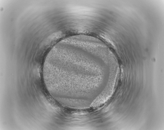 X0000088890643200706221841