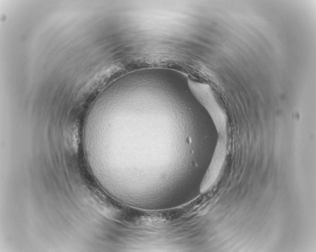 X0000088890644200706221841